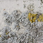 img 4051